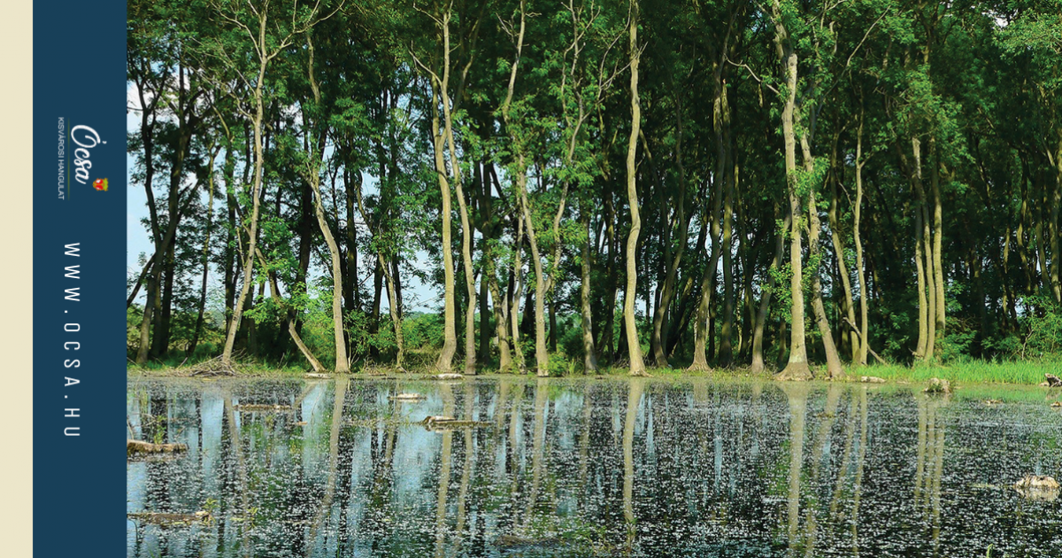 Ócsai Tájvédelmi Körzet ábra