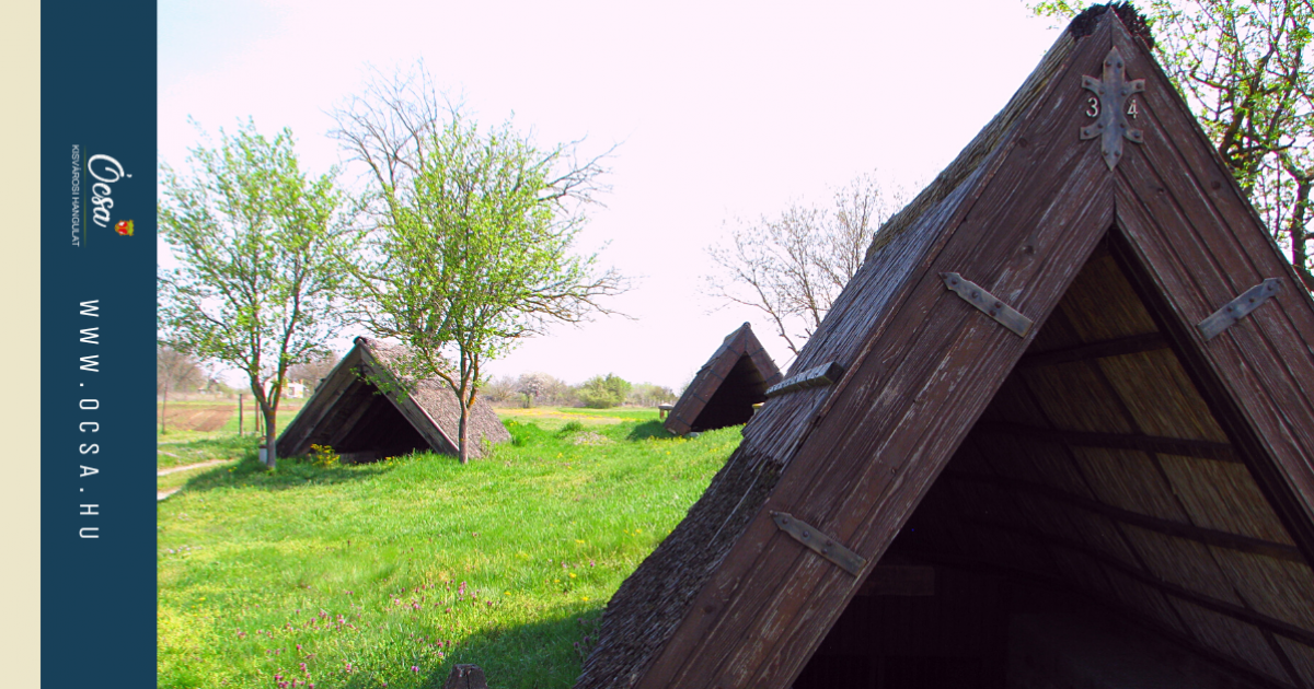 Ócsai Öreghegyi Pincesor ábra